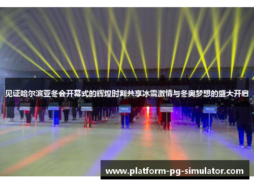 见证哈尔滨亚冬会开幕式的辉煌时刻共享冰雪激情与冬奥梦想的盛大开启
