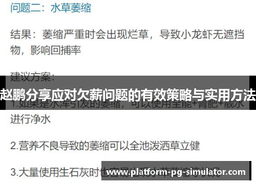赵鹏分享应对欠薪问题的有效策略与实用方法 赵鹏分享应对欠薪问题的有效策略与实用方法